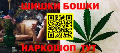 стаф Донской