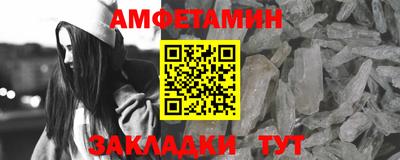 стаф Донской