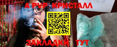 стаф Донской