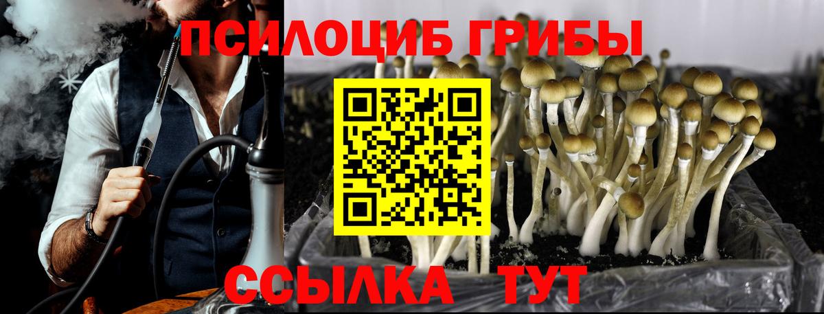 Псилоцибиновые грибы Psilocybe  Псилоцибиновые грибы Psilocybe  Пушкино  Вход с VPN 